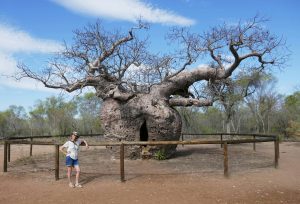 Prison Tree