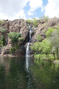 Krokofreier Pool