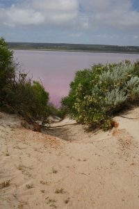 Kein Fehler der Kamera, das Wasser ist wirklich pink